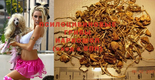 кокс Няндома