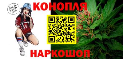 мет Дубна
