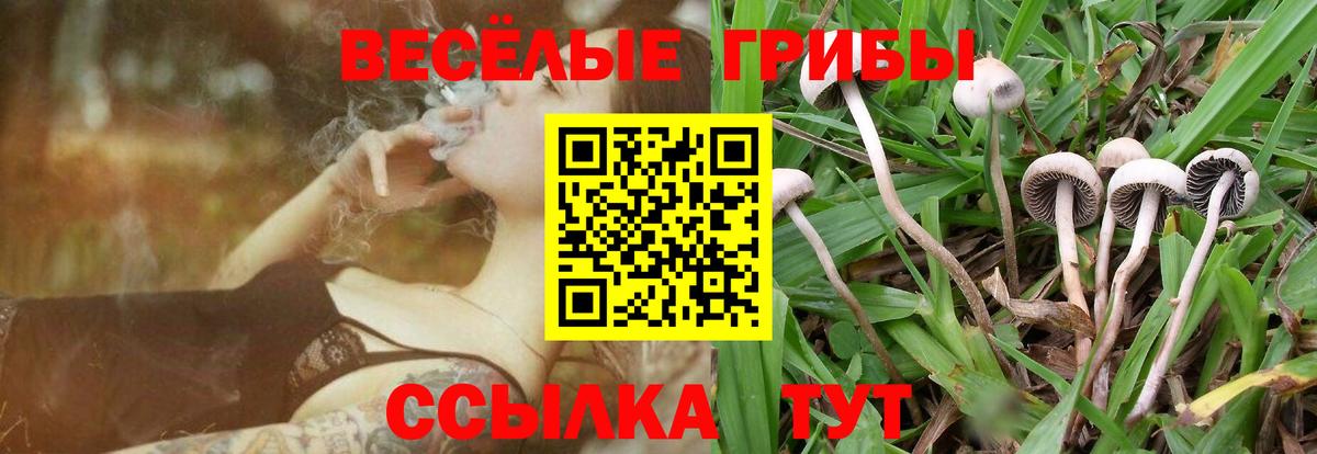Галлюциногенные грибы MAGIC MUSHROOMS Прохладный