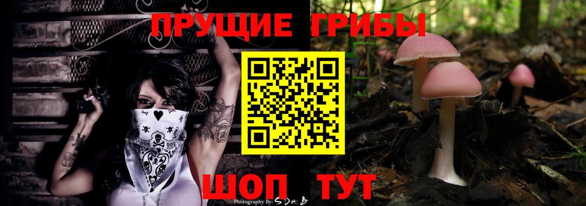 Галлюциногенные грибы мицелий  Вход с VPN  Прохладный 